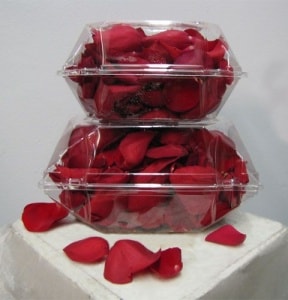 Red Rose Petals Boxed